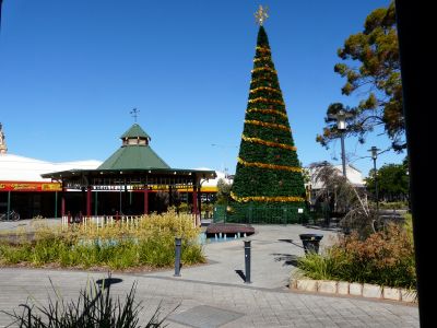 Weihnachtsbaum in Bromme.jpg